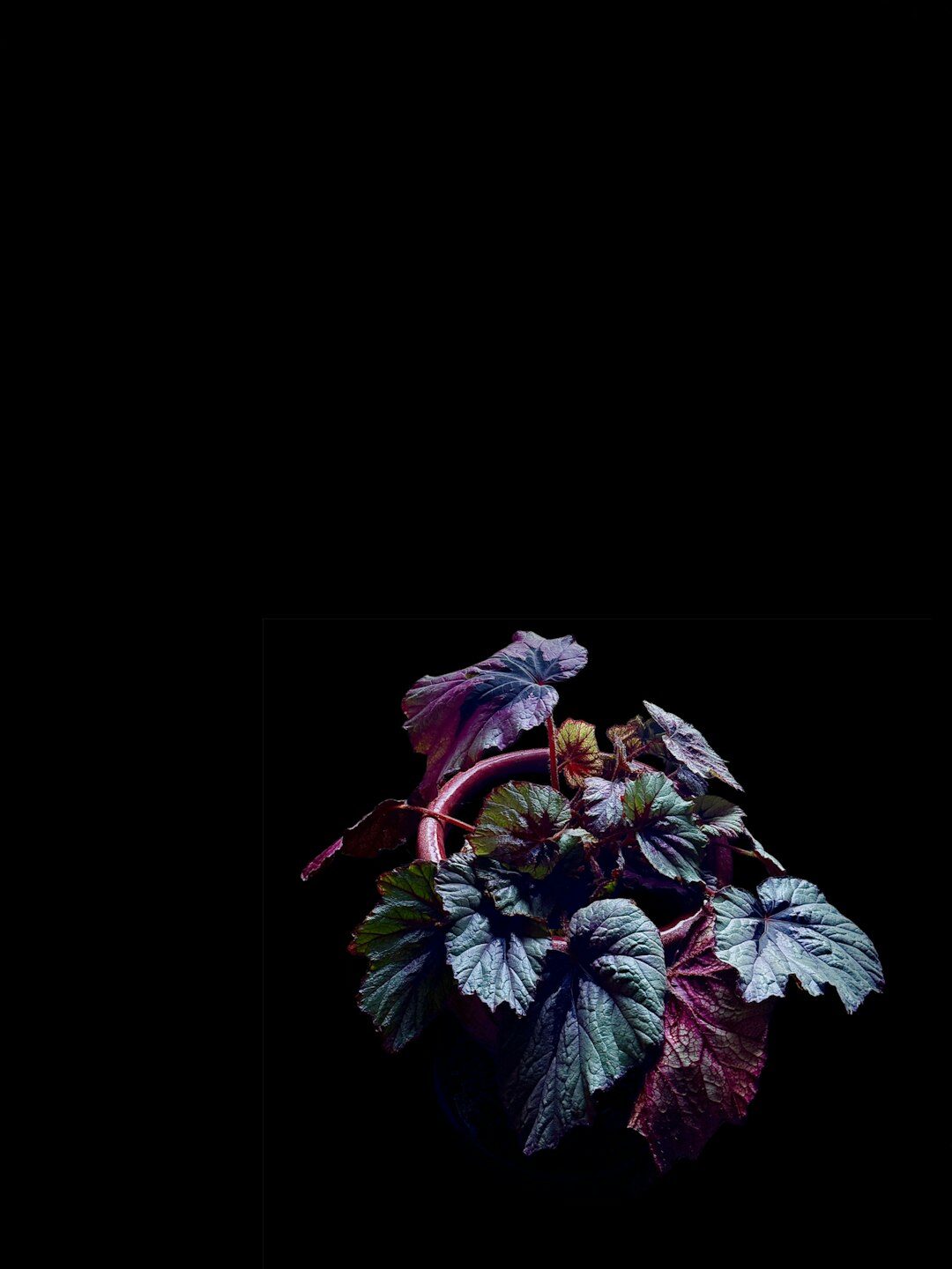 dark mystery book cover